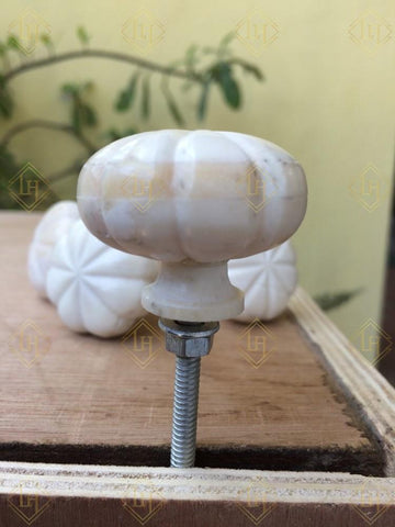 Bone Knobs Set of 4 Pieces