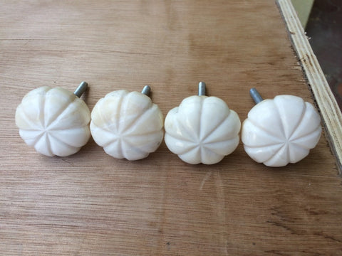 Bone Knobs Set of 4 Pieces